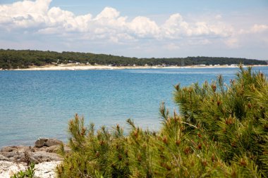 Adriyatik Denizi 'nin güzel manzarası. Güneşli bir nisan günü. Istria Yarımadası Hırvatistan
