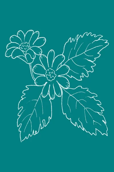 Printable Trendy Botanische Kaart Gebruik Als Dekmantel Behang Muurkunst Groene — Stockfoto