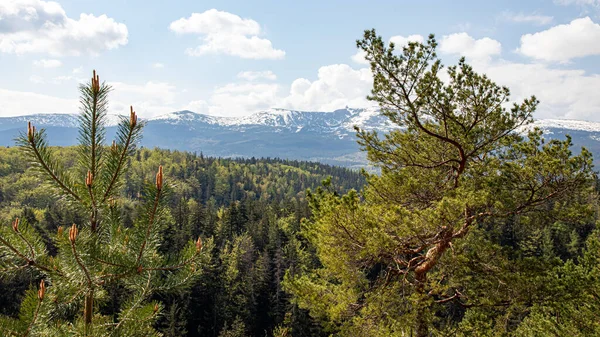 Szklarska Poreba Poland May 2022 Beautiful Landscape Polish Mountains — Fotografia de Stock