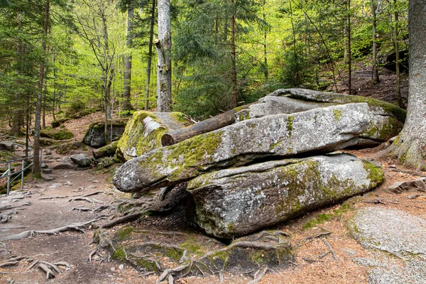 Szklarska Poreba Polónia Maio 2022 Uma Estrada Florestal Nas Montanhas — Fotografia de Stock