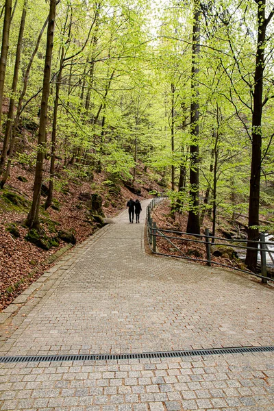Szklarska Poreba Polonia Mayo 2022 Camino Forestal Las Montañas Polacas — Foto de Stock
