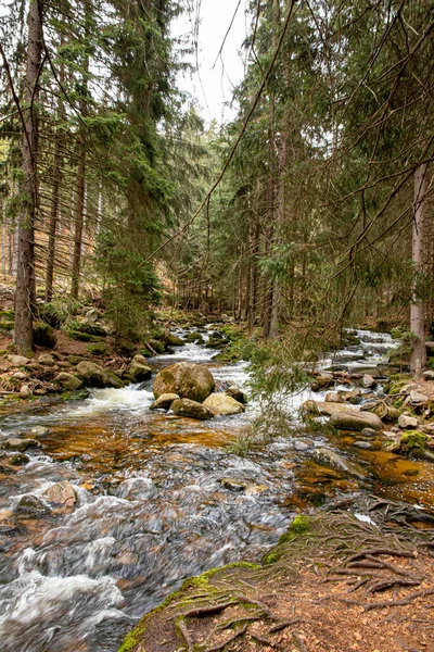 Szklarska Poreba Poland Května2022 Národní Park Karkonosze Voda Tekoucí Kamenech — Stock fotografie