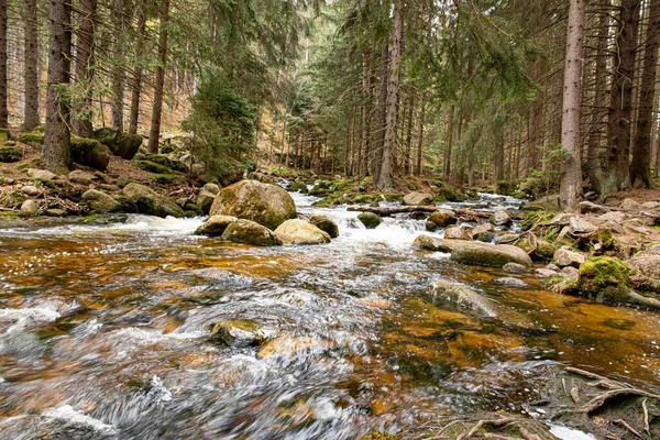 Szklarska Poreba Polónia Maio 2022 Parque Nacional Karkonosze Água Que — Fotografia de Stock