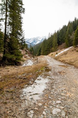 Polonya Tatra Dağları 'ndaki manzara. Nisan ayında karla kaplı tepelerin görüntüsü.