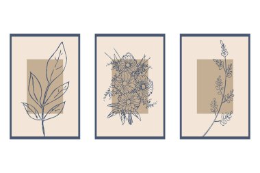 3 botanik posteri seti. Çağdaş sanat posteri. Baskı, kapak, duvar kağıdı, minimalist ve doğal duvar sanatı için botanik desen.