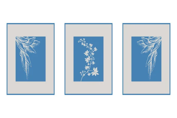 Conjunto Cartazes Botânicos Cartaz Arte Contemporânea Padrão Botânico Para Impressão — Vetor de Stock