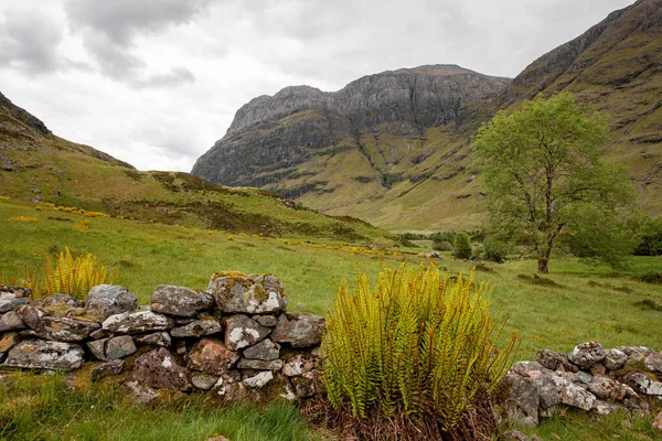 Června2022 Skotsko Velká Británie Krásná Horská Krajina — Stock fotografie