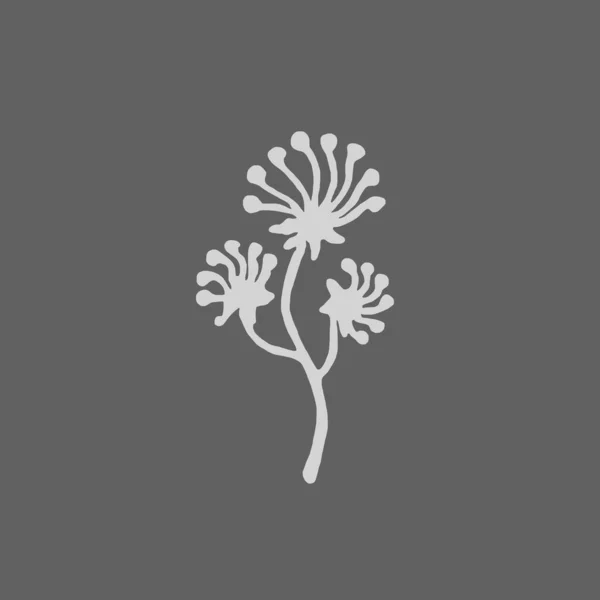 Botanical Illustration Line Art Plants Drawing Abstract Shape Pattern Framed — ストック写真