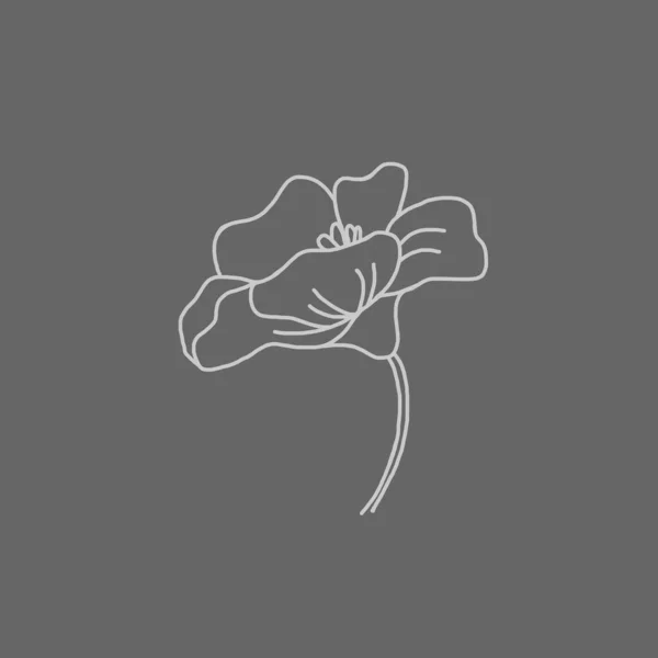 Ботаническая Иллюстрация Линейное Искусство Растений Рисунок Абстрактной Формы Образец Отпечатков — стоковое фото