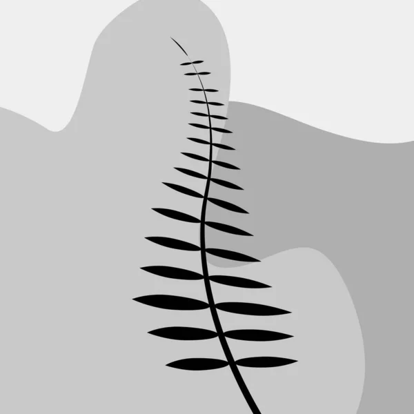 Ilustração Botânica Arte Linha Plantas Desenho Com Forma Abstrata Padrão — Fotografia de Stock