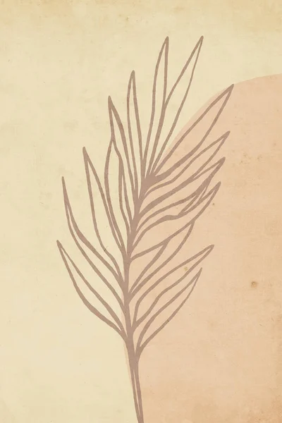Botanische Illustratie Patroon Voor Ingelijste Wandafdrukken Canvas Schilderijen Posters Woondecoraties — Stockfoto