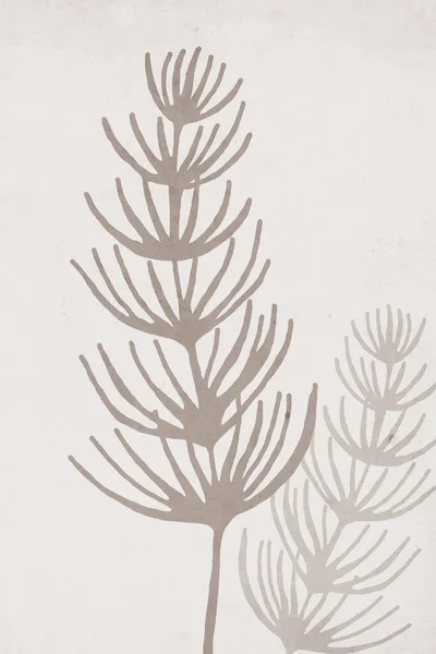 식물학적 포스터 장식을 — 스톡 사진