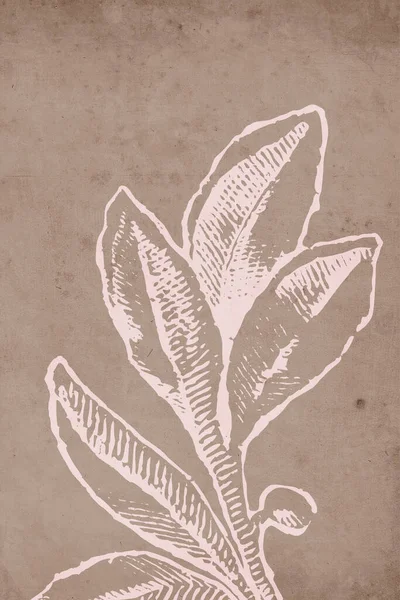 Ботаническая Иллюстрация Образец Настенных Рисунков Холстов Плакатов Украшений Дома — стоковое фото