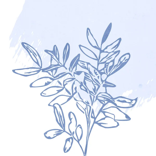 Printable Trendy Botanical Card Use Cover Wallpaper Wall Art Blue — Foto de Stock