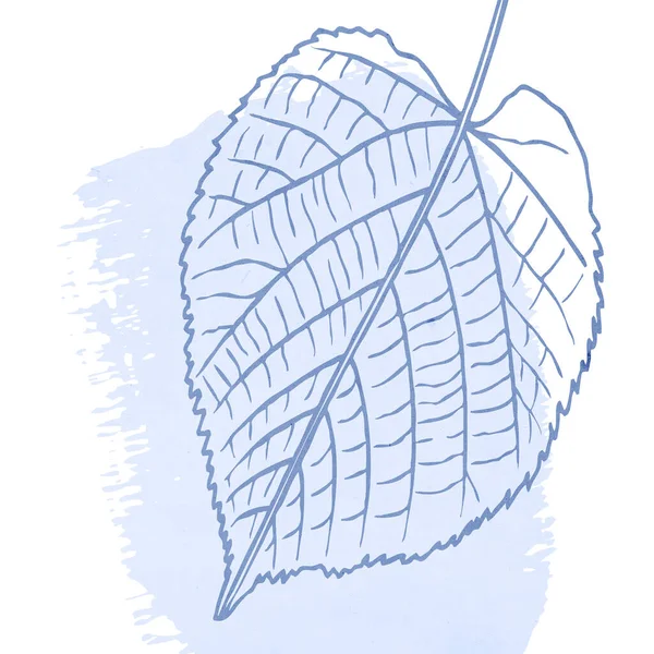 Printable Trendy Botanical Card Use Cover Wallpaper Wall Art Blue — Zdjęcie stockowe