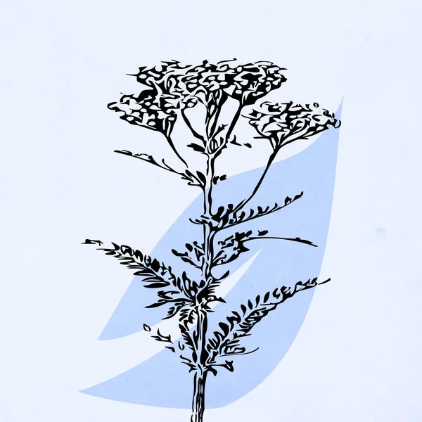 Printable Trendy Botanical Card Use Cover Wallpaper Wall Art Blue — Fotografia de Stock