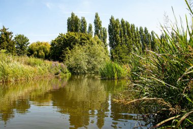 Warwick Warwickshire İngiltere. Avon Nehri 'nin güzel manzarası