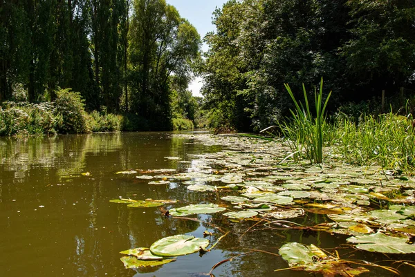 Warwick Warwickshire England Beautiful Landscape River Avon — стоковое фото