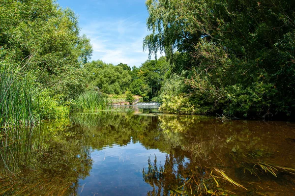 Warwick Warwickshire England Beautiful Landscape River Avon — стоковое фото