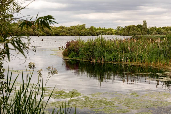 Attenborough Nature Reserve Nottingham United Kingdom — Foto Stock