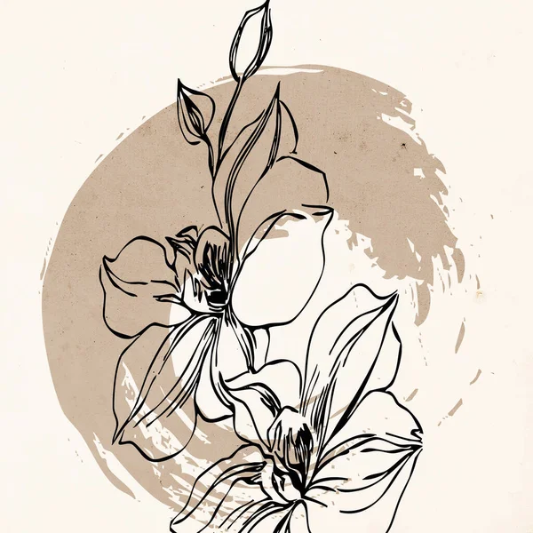 Printable Trendy Botanical Card Use Cover Wallpaper Wall Art Brown — Stock Photo, Image