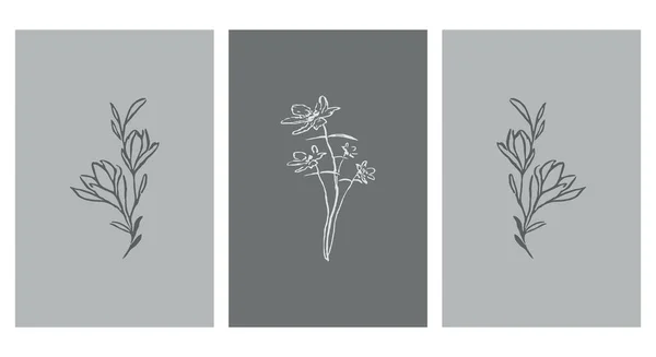 Botanisk Väggkonst Linjekonst Växter Teckning Med Abstrakt Form Abstrakt Blommönster — Stock vektor