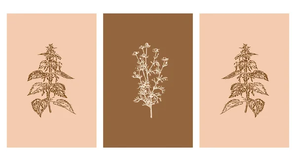 Botanické Umění Stěn Čárové Umění Rostlin Kresba Abstraktním Tvarem Abstraktní — Stockový vektor
