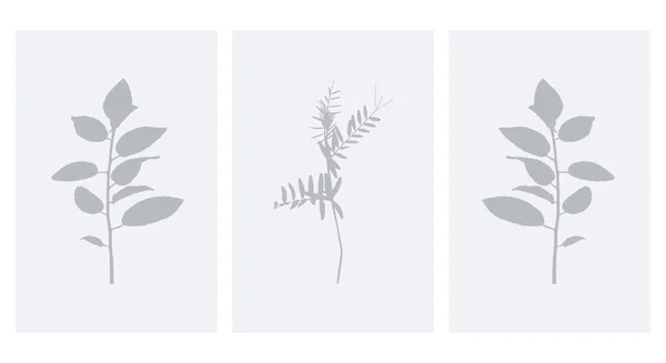 Βοτανική Τέχνη Τοίχου Γραμμική Τέχνη Των Φυτών Σχέδιο Αφηρημένο Σχήμα — Διανυσματικό Αρχείο