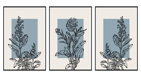 Набір Трьох Ілюстрацій Друку Мінімалістичний Візерунок Рослини Квіти Настінне Мистецтво — стоковий вектор