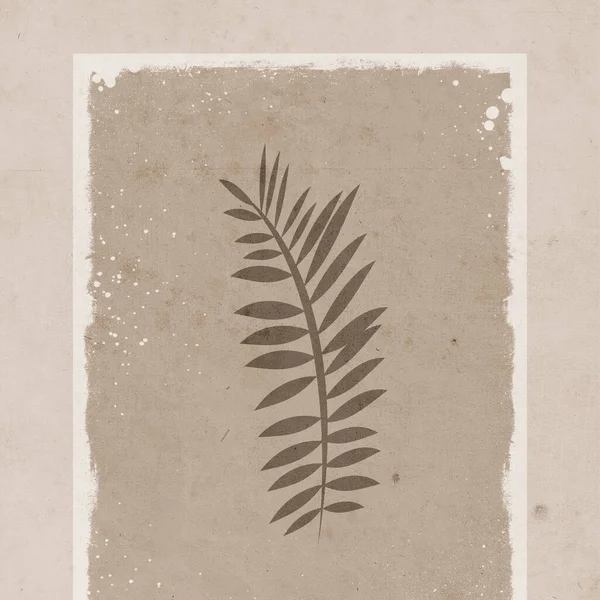 Tisknutelná Módní Botanická Karta Použít Jako Kryt Tapety Nástěnné Malby — Stock fotografie