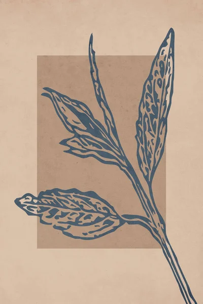 Scheda Botanica Tendenza Stampabile Utilizzare Copertura Carta Parati Arte Della — Foto Stock