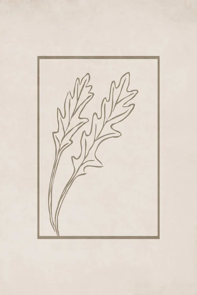 Ботанічна Мінімалістична Ілюстрація Друку Настінного Мистецтва Домашніх Прикрас — стокове фото