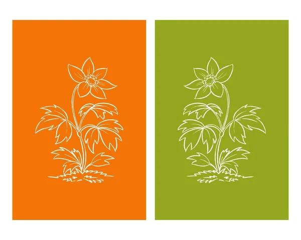 Set Obras Arte Pared Botánica Dibujo Tropical Arte Lineal Con — Vector de stock