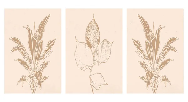 3植物壁アートのセット 抽象的な形状の線画熱帯ドローイング — ストックベクタ
