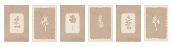 Colección Ilustraciones Botánicas Línea Arte Las Plantas Dibujo Con Forma — Vector de stock