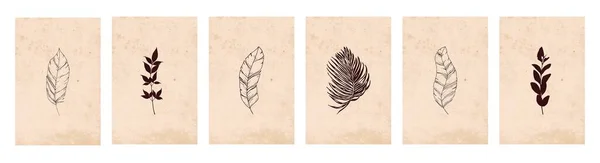 Raccolta Illustrazioni Botaniche Linea Arte Delle Piante Disegno Con Forma — Vettoriale Stock