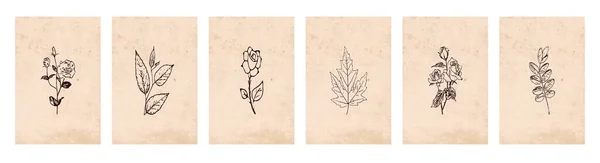 Colección Ilustraciones Botánicas Línea Arte Las Plantas Dibujo Con Forma — Vector de stock