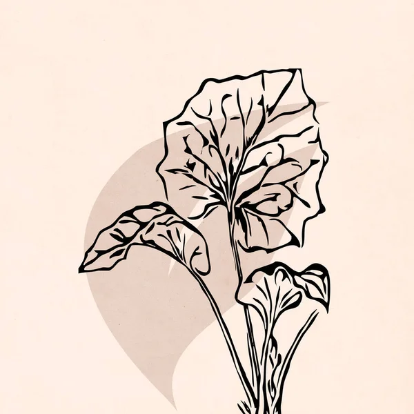 Печатная Модная Ботаническая Карта Используйте Обложки Обоев Настенного Искусства Цвет — стоковое фото