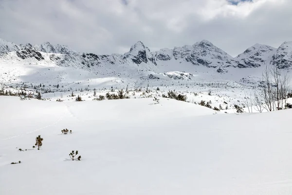 タトラ山脈の冬の風景 ポーランド — ストック写真