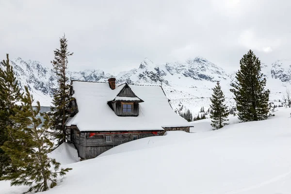 Paesaggio Invernale Nelle Montagne Dei Tatra Polonia — Foto Stock