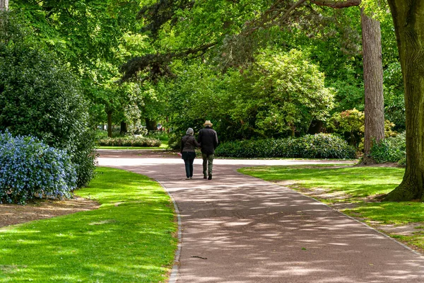 Gyönyörű Táj Egy Parkban Wolverhampton — Stock Fotó