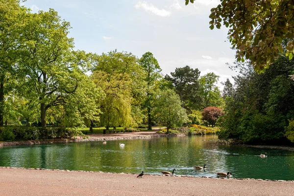 Bela Paisagem Parque Wolverhampton — Fotografia de Stock