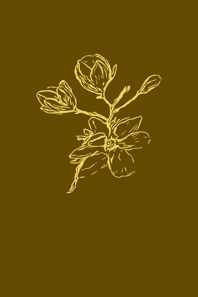 Печатная Модная Ботаническая Карта Использование Обложки Обоев Настенного Искусства — стоковое фото