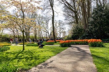 14 Nisan 2022 Lisse, Hollanda. Bahar çiçeklerinin açtığı güzel bir halk bahçesi. Popüler turizm sitesi.