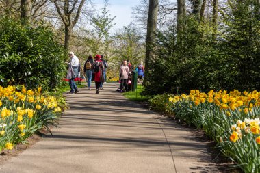 14 Nisan 2022 Lisse, Hollanda. Bahar çiçeklerinin açtığı güzel bir halk bahçesi. Popüler turizm sitesi.