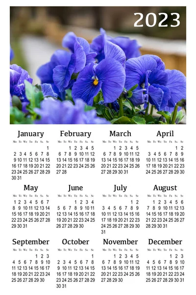 Botanical calendar for 2023. Vertical wall calendar , week starts Monday.