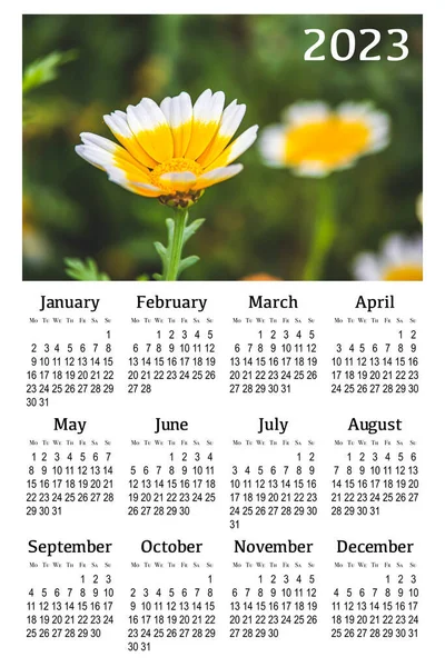 Botanical calendar for 2023. Vertical wall calendar , week starts Monday.