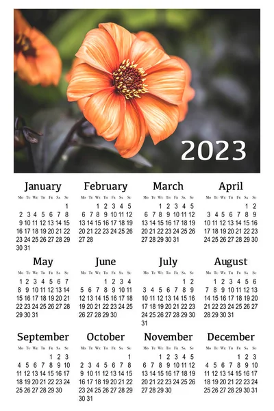 Botanical Calendar 2023 Vertical Wall Calendar Week Starts Monday — Stock Photo, Image