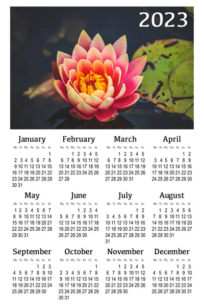 Calendário Botânico Para 2023 Calendário Parede Vertical Semana Começa Segunda — Fotografia de Stock