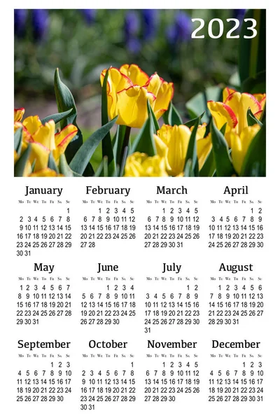 Botanical calendar for 2023. Vertical wall calendar , week starts Monday.